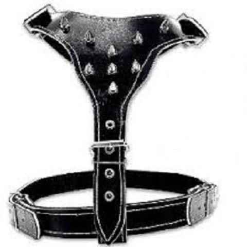 Coleira Forrado de Pit Bull Com Cravo