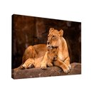 Ver imagem 1 de Quadro Leoa e Filhote Br Artes Pequeno 60x40