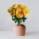 Ver imagem 1 de 12 Flores Rosas Artificiais Creme Alta Qualidade para Mesa Sala e Escritório