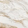 Porcelanato Eterno Borghini WH Polido Retificado 120x120cm (Caixa c/ 1,44m²) Ceusa - 1