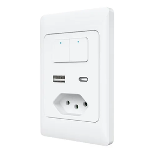 Interruptor Wifi Smart Casa Inteligente Alexa 2 Teclas Usb C