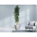 Ver imagem 2 de Planta Árvore Artificial Bambu 2,18m Com Vaso Areia 44