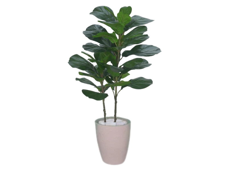 Planta Árvore Artificial Ficus Lyrata Real Toque Verde 1m Kit + Vaso S. Bege 30 cm