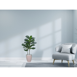 Planta Árvore Artificial Ficus Lyrata Real Toque Verde 1m Kit + Vaso S. Bege 30 cm - 2