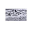 Ver imagem 3 de Colchão Casal Toraflex Espuma Coala D33 138x188x24