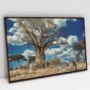 Ver imagem 2 de Quadro Decorativo em Canvas Zebras na Selva TaColado Moldura Madeira 90 x 60cm