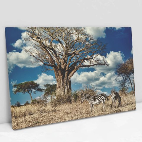 Quadro Decorativo em Canvas Zebras na Selva TaColado Moldura Madeira 90 x 60cm