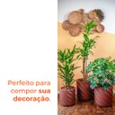 Ver imagem 4 de Vaso Maragogi Café 30 Terrano