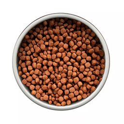 Ração Guabi Natural Caes Adultos Mini Peq Frango Arroz 10Kg - 4 Ração Guabi Natural Caes Adultos Mini Peq Frango Arroz 10Kg - 4