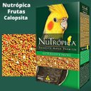 Ver imagem 2 de Ração Super Premium Calopsita Com Frutas - 300g - Nutrópica