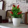 Vaso Planta Artificial Bonsai Pimenta Decoração Mesa Jardim - 3