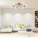 Ver imagem 3 de Plafon Aster 6 Hastes Rose | Iluminação Moderna