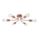 Ver imagem 1 de Plafon Aster 6 Hastes Rose | Iluminação Moderna