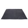 Piso de Borracha Placa Moeda 50 x 50cm - 1