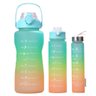 Kit com 3 Garrafas Água com Canudo Squeeze 2l-1l e 500ml Vd - 1