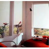 Persiana Cortina Rolo Blackout Ambiente Interno Quarto Sala Varanda 1,50 Larg x 1,30 Alt - 5