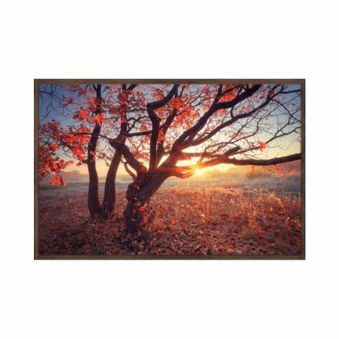 Quadro Decorativo - Arvore Sol Folhas Vermelhas Natureza Flnt111 - Vidro com Impressão Uv - 60x40cm