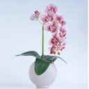 Ver imagem 1 de Arranjo de Orquídea Estampada em Vaso Nude Fosco Lara