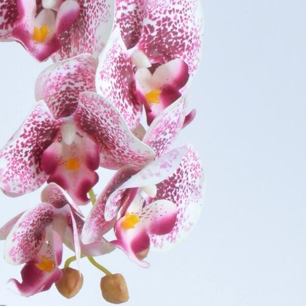 Arranjo de Orquídea Estampada em Vaso Nude Fosco Lara - 3