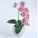 Ver imagem 2 de Arranjo de Orquídea Estampada em Vaso Nude Fosco Lara
