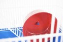 Ver imagem 3 de Gaiola para Hamster Topolino Azul Contrera 3 Andares Epoxi