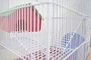 Ver imagem 3 de Gaiola para Hamster Topolino Contrera Verm 3 Andares Epoxi