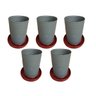Kit 5 Comedouros Para Aves Todo De Plástico 5Kg Cada Er - 1