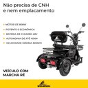Ver imagem 5 de Triciclo Elétrico Motorizado 800w até 3 Lugares Dispensa Cnh Wehawk Mult 3 2025