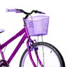Bicicleta Feminina Aro 24 Alumínio Colorido + Kit Passeio FlexBikes - 4