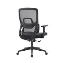 Ver imagem 5 de Cadeira Escritório Ergonômica Chelsea Diretor NR17 Reclinável Base Giratória Apoio Lombar Braço