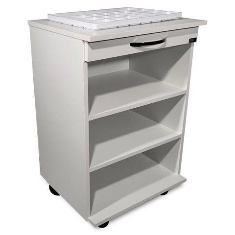 Carrinho Auxiliar de Apoio Estética - com 03 Nichos e Rodinhas