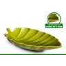 Folha Decoração Mesa Cozinha em Porcelana Verde 650ml - 3