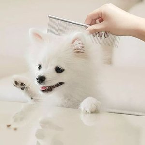 Pente de Aço para Cães e Gatos M
