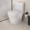 Vaso Sanitário Monobloco Cerâmica Modelo Acies Tubrax – Branco - 1