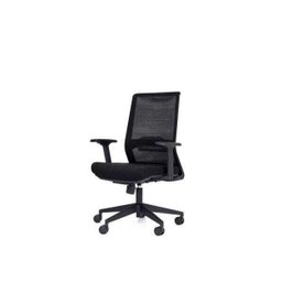 Cadeira Escritório Giratória Executiva Elite Flex Mesh - 1