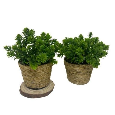 Conjunto Vaso Pequeno de Plástico com Corda Sisal Revestida