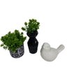 Kit decorativo pássaro branco, vaso preto e vaso mosaico - 2
