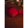 Pássaro Cardeal Vermelho 12cm - 4