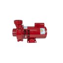 Ver imagem 3 de Motobomba Incêndio 3cv 60Hz Monofásico 110/220V ECS-300IN Eletroplas