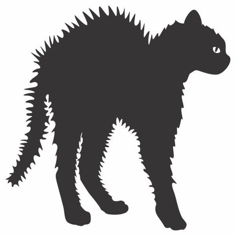 Kit com 3 Adesivos Gato Arrepiado