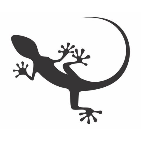 Kit com 12 Adesivos Adesivos Lagartixa