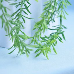 Arranjo de Folhagem Pendente Alecrim Artificial no Vaso Cumbuca Cinza | Formosinha - 6