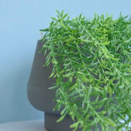 Arranjo de Folhagem Pendente Alecrim Artificial no Vaso Cumbuca Cinza | Formosinha - 2