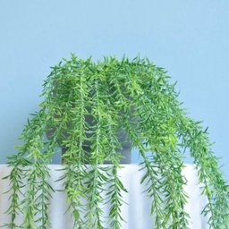 Arranjo de Folhagem Pendente Alecrim Artificial no Vaso Cumbuca Cinza | Formosinha - 5