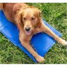 Tapete Gelado Pet Cao Gato Cachorro 50x90cm Refrescante Confortavel Animal de Estimaçao Macio Alta T - 3