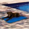 Tapete Gelado Pet Cao Gato Cachorro 50x90cm Refrescante Confortavel Animal de Estimaçao Macio Alta T - 2
