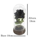 Ver imagem 3 de Cúpula Redoma Rosa Preta A Bela E A Fera