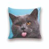 Almofada Decorativa 25x25 Cheias Gato Língua - 1