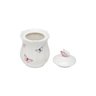 Pote Wolff Borboletas de Porcelana com Tampa Branco 350 ml - 4