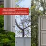 Cristaleira Estante Para Livros Ditália 1 Porta Vidro E-963 Cor:Preto - 13